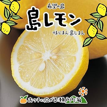 農薬不使用の国産レモン 10kg箱【夏木成りレモン！愛媛の農家直送】0705ち 農薬不使用の国産レモン 10kg箱【夏木成りレモン！愛媛の農家